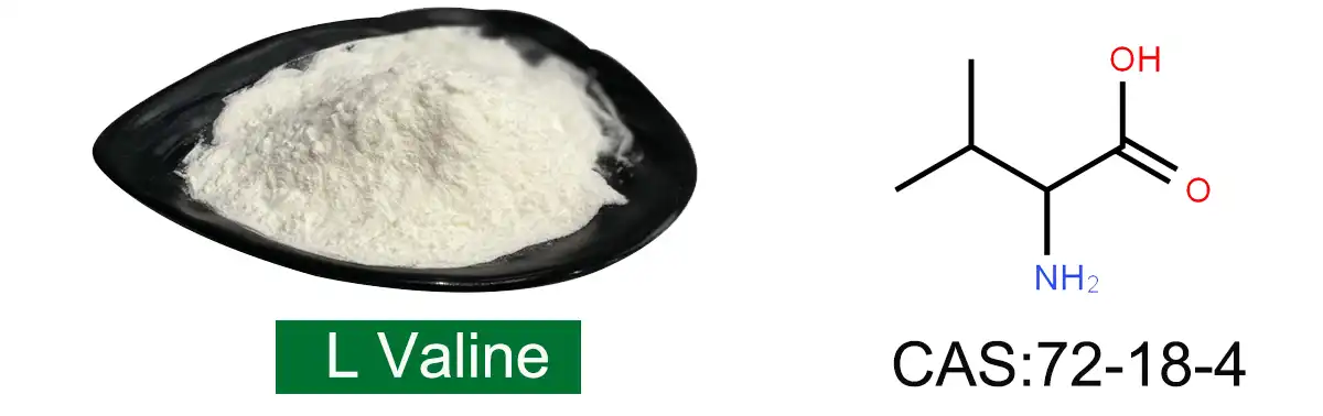 L Valine Saler.jpg